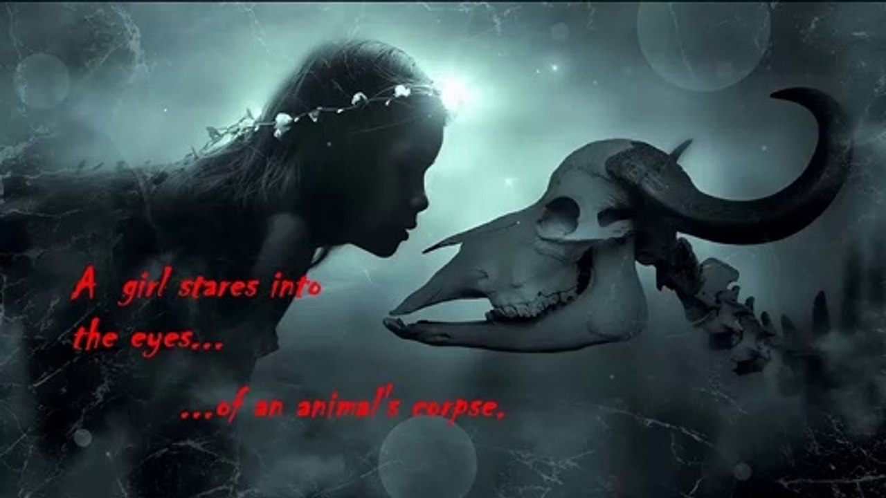 10 IMAGES you have to SEE before DIE