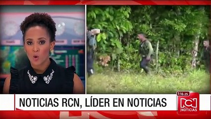 Primeras declaraciones de guerrilleros que están en el país tras resultados del plebiscito