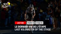 #TDF2020 - Étape 14 / Stage 14 - Flamme Rouge / Last Kilometer