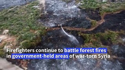 Fires devour large agricultural lands in western Syria