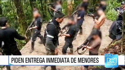 ONG pide celeridad en la entrega de menores reclutados por las Farc