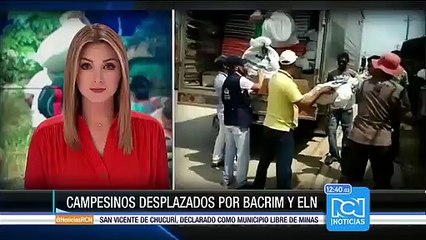 400 campesinos huyeron de sus fincas en Antioquia por combates