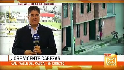 Caballo habría sido víctima de maltrato en Cali