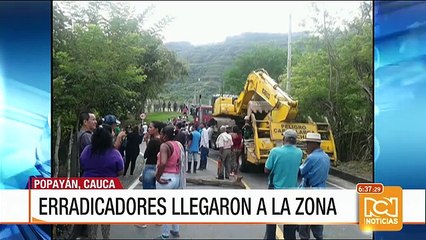 Erradicadores de cultivos ilícitos no pudieron ingresar al sur del Cauca