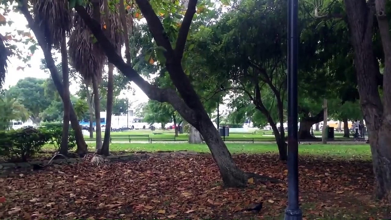 Parque de la Paz Mérida, Yucatán México