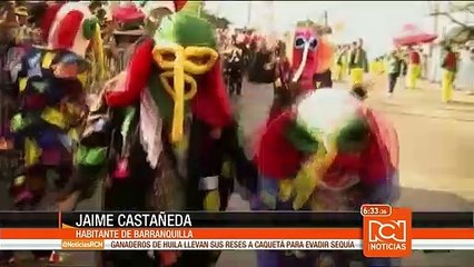 Comenzó campaña de distribución de preservativos antes y durante el Carnaval de Barranquilla