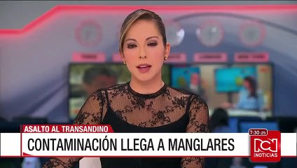 Ecopetrol: robo de crudo en oleoducto Transandino golpea la economía nacional