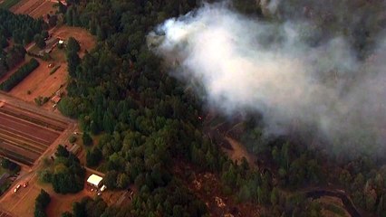 미 서부 대형산불 확산...17명 숨지고 50만 명에 대피령 / YTN