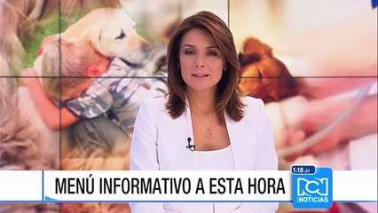 La edad ideal para que un niño tenga una mascota