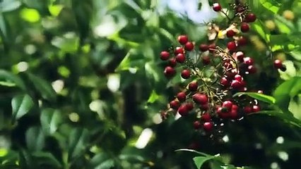 Be Willing to Take a Risk of Faith