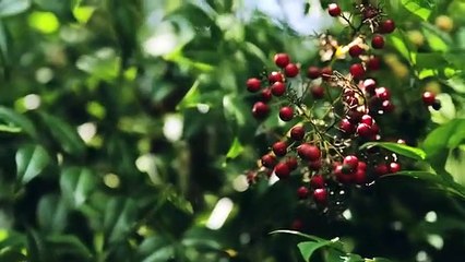 Stop Blocking Your Miracle