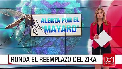 Un nuevo virus, similar al Zika o al Chikungunya, podría llegar a Colombia