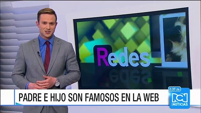 ¿Terror a las abejas? Estos insectos también son capaces de desclavar puntillas