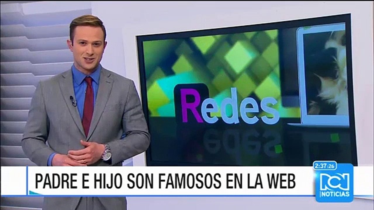 ¿Terror a las abejas? Estos insectos también son capaces de desclavar puntillas