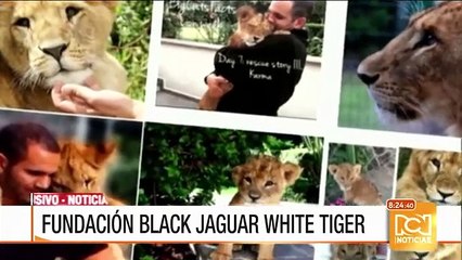 "Que haya derechos animales en todo el mundo, ese es mi sueño": Eduardo Serio