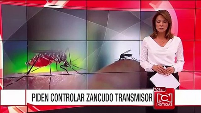 Médicos hacen llamado para que alcaldes lideren control del mosquito transmisor del zika