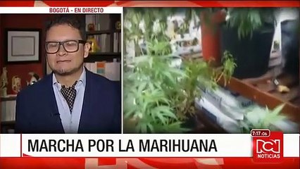 ¿En Colombia podría legalizarse la marihuana para todos sus usos?