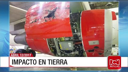 Hombre cayó de una montaña rusa en el Parque del Café