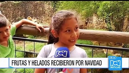 La Navidad también se vive en el zoológico de Cali