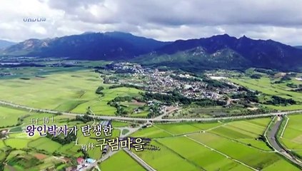 [UHD 다큐 풍경] 월출산의 정기와 영산강의 생기…영암