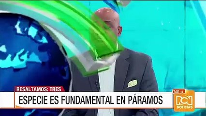 Asesinaron a sobrino de la campeona olímpica María Isabel Urrutia