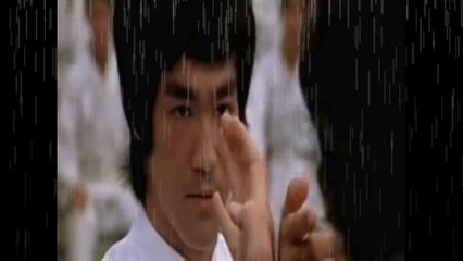 The One And Only Dynamic Bruce Lee