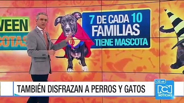Cada año cobran mayor importancia los disfraces de las mascotas
