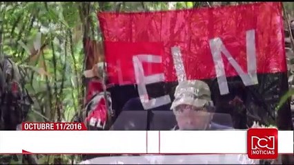 Consejo de Estado revivió políticamente a la exsenadora Piedad Córdoba