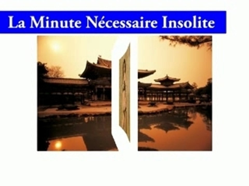 La Minute Nécessaire Insolite Janvier  2