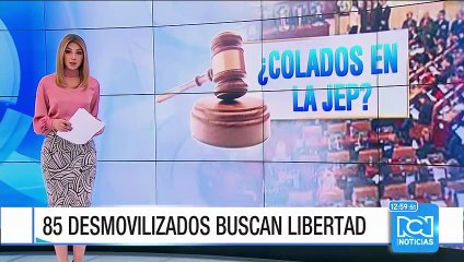 Guerrilleros desmovilizados buscan beneficios de la ley de amnistía