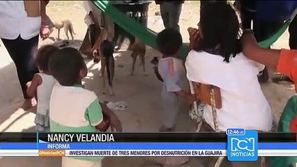Niños indígenas de Arauca, principales víctimas de enfermedades por desnutrición