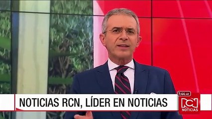 Indignación en Bogotá por médico que mató a una perra a patadas