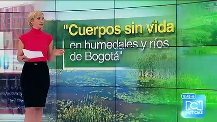 Denuncian venta y consumo de drogas cerca de un colegio de Bogotá
