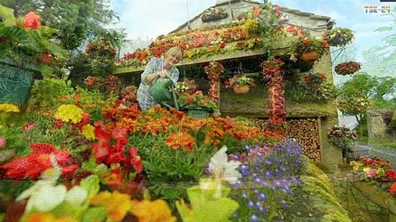 Strange House - The Most Beautiful Houses in the World