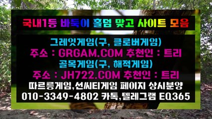 온라인맞고♋↔♋ HON200.COM ♋↔♋온라인맞고