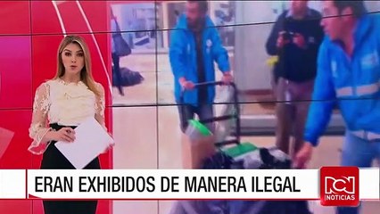 Incautan 40 animales marinos en el centro comercial Atlantis de Bogotá