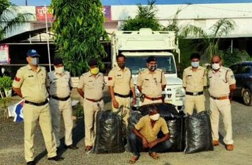 अवैध मादक पदार्थ गांजा तस्कर गिरफ्तार, 120 किलो अवेध गांजा जब्त