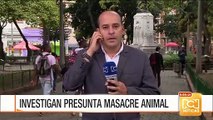 Investigan supuesto asesinato de 11 perros en Bello, Antioquia