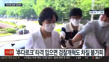 민주 '秋 딜레마'…지지층은 결집, 중도층 이탈은 고민