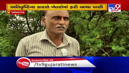 Gujarat farmers suffer huge crop loss due to excessive rainfall, survey awaited - TV9News