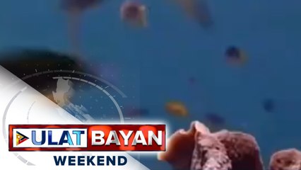 Tarutao National Park sa Thailand, mas pinaganda pa