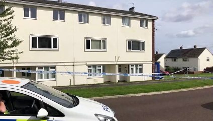 Police on the scene of a fatal stabbing in Leam Lane