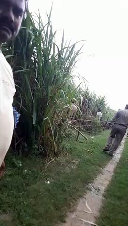 पुलिस कस्टडी से हथकड़ी सहित कैदी भागने का मामला, पुलिस खेतो में कर रही कॉम्बिंग