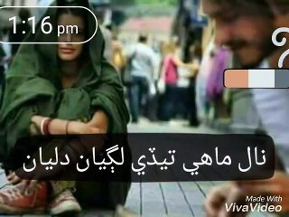 Asan sir daa soda Kar bhethe __ SoFi WhatsApp status __ siraike songs __ Sarwan Ahmed Pak