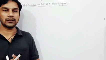 Pteridophyte( part -1) general features chapter  Plant Kingdom