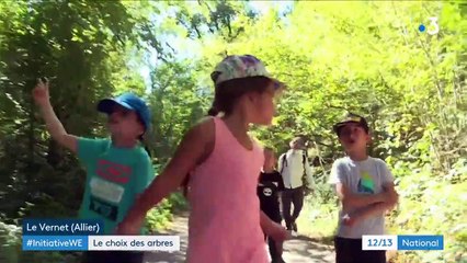 Allier : quand les enfants apprennent à choisir des arbres pour construire leur cantine