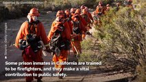 Former California Inmates Who Fought Fires Can Now Have Records Expunged