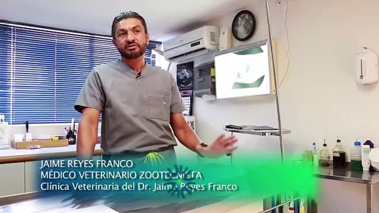 Consejos de Veterinario