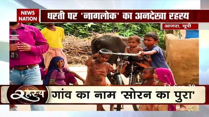 What if the snake starts living with humans