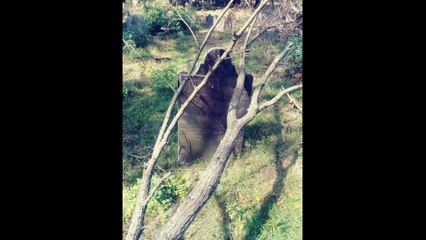 Devastation at Noroton - Gallo Family Ghost Hunters -  Featurette
